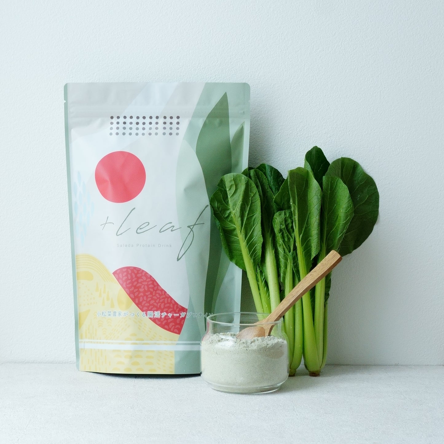 腸活サラダ　プロテイン 【＋Leaf】